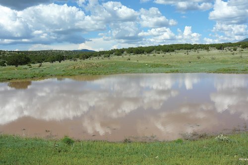 Property photo 20 - 7,320 Acres Offered in 5 Tracts